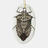 Ornement En Céramique insecte de puanteur (Droite)