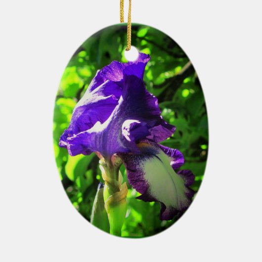 Ornement En Céramique Iris violet en été (Dos)