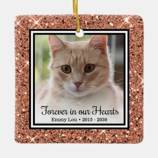 Ornement En Céramique Jamais Dans Nos Coeurs Chat (Devant)