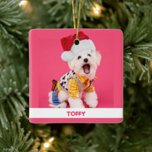 Ornement En Céramique Joli animal de Noël personnalisé