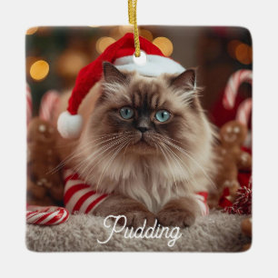 Ornement En Céramique Joli Chat Ragdoll Noël Magie Personnalisé