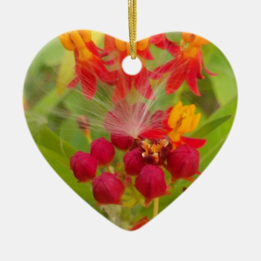 Ornement En Céramique Jolie florale colorée avec Milkweed Art Imprimer (Devant)