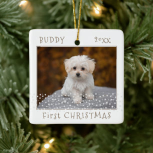 Ornement En Céramique Jolies Photos d'Étoiles de Noël de Premier Chien A