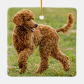 Ornement En Céramique Jouer caniche rouge caniche (Dos)