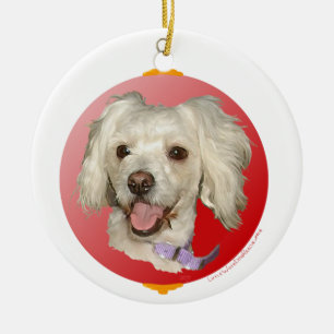 Ornement En Céramique Joyeux Noël Petit Chien Blanc Poodé / Bichon