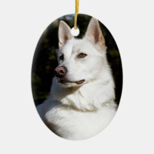 Ornement En Céramique Kodah Le Berger Blanc Wolfdog
