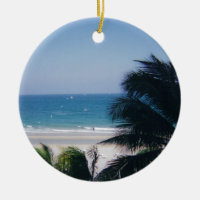 LA FLORIDE DU SUD