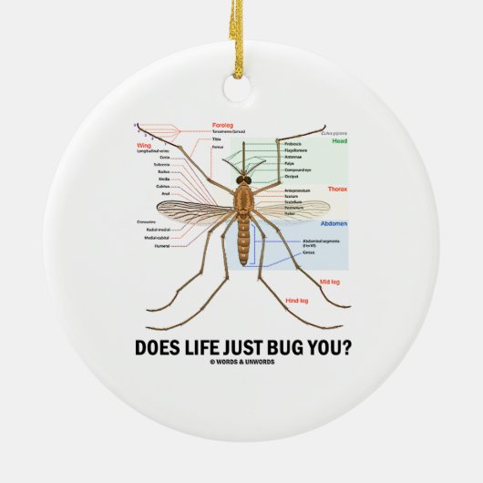 Ornement En Céramique La vie vous branche-t-elle juste sur table (Dos)