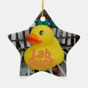 ORNEMENT EN CÉRAMIQUE LAB DUCK ORNAMENT DE NOËL