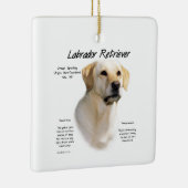 Ornement En Céramique Laboratoire jaune (Droite)