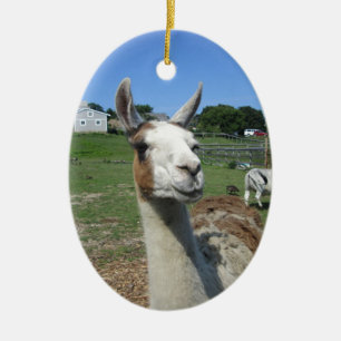 Ornement En Céramique Lama
