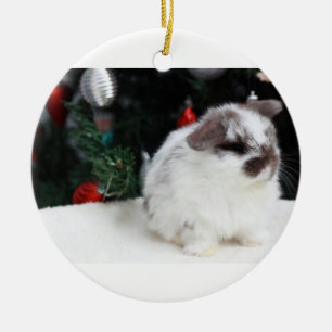 Ornement En Céramique Lapin de Noël
