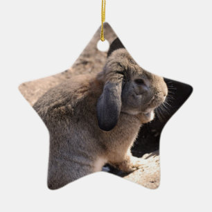 Ornement En Céramique Lapin mignon