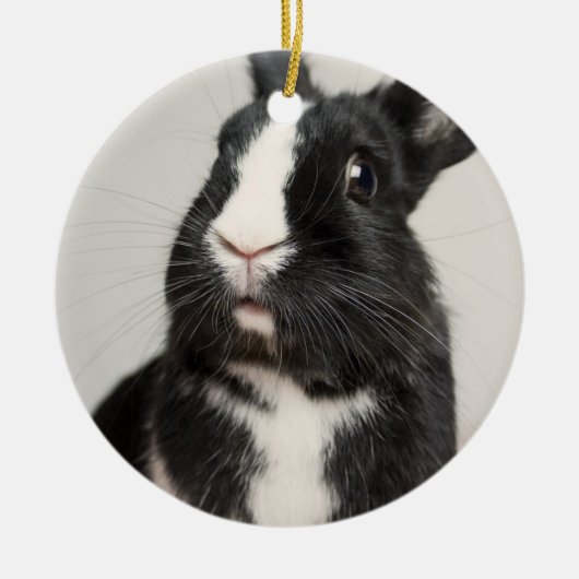 Ornement En Céramique Lapin noir et blanc adorable (Devant)