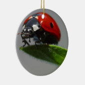 Ornement En Céramique L'art des amateurs de Ladybug (Droite)