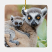 Ornement En Céramique Le bébé Lemur de Ring-Tailed (Dos)