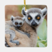 Ornement En Céramique Le bébé Lemur de Ring-Tailed (Devant)