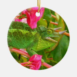 Ornement En Céramique Le caméléon de Jackson sauvage sur l'île Hawaï de