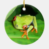 Ornement En Céramique Le Costa Rica (Dos)