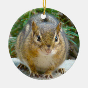 Ornement En Céramique Le Cute Chipmunk A L'Oeil Sur Vous