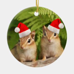 Ornement En Céramique Le double de tamia de bébé de Père Noël a dég