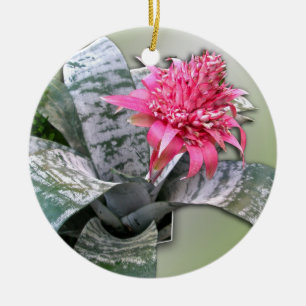 Ornement En Céramique Le rose a fleuri Bromeliad