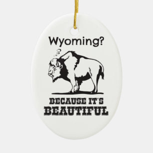 Ornement En Céramique Le Wyoming ? Parce que c'est beau