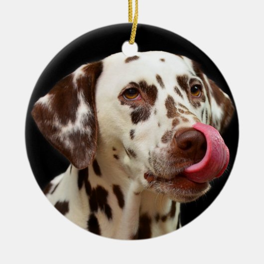 Ornement En Céramique Lèchement dalmatien de chien (Devant)