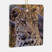 Ornement En Céramique Léopard assis, Botswana, Afrique (Droite)