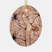 Ornement En Céramique Les neurones 3 de Cajal (Droite)