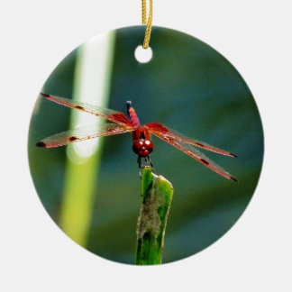 Ornement En Céramique Libellule rouge et noire frontale