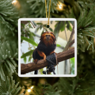 Ornement En Céramique Lion Tamarin III à tête dorée