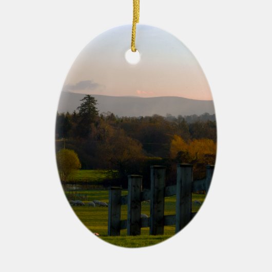 Ornement En Céramique L'Irlande est belle (Devant)