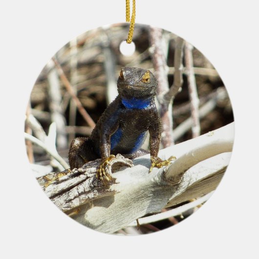 Ornement En Céramique Lizard de clôture du grand bassin à Joshua Tree (Devant)