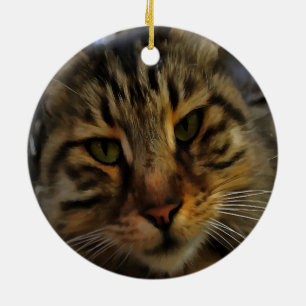 Ornement En Céramique Long Haired Tabby Chat Artistique Portrait d'anima
