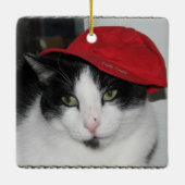 Ornement En Céramique L'ornement de Morgan (Dos)