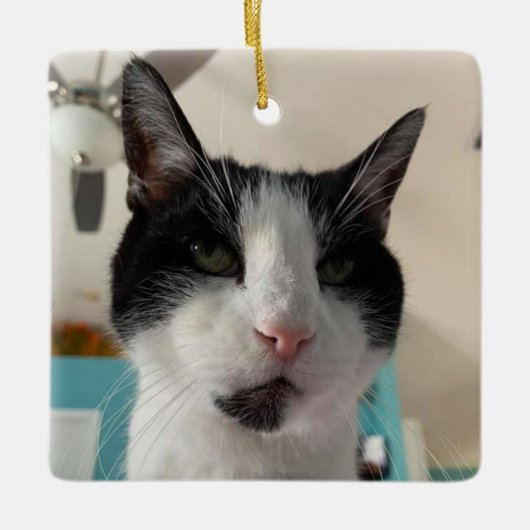 Ornement En Céramique L'ornement de Morgan (Devant)