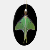 Ornement En Céramique Luna Moth (Droite)