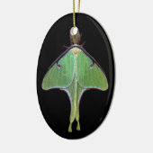 Ornement En Céramique Luna Moth (Gauche)