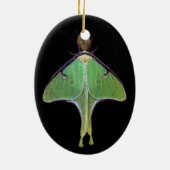 Ornement En Céramique Luna Moth (Dos)