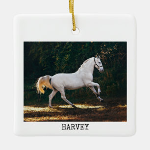 Ornement En Céramique Machine à écrire moderne Votre photo de cheval Noë