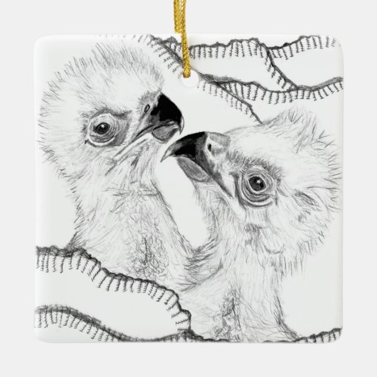 ORNEMENT EN CÉRAMIQUE MAISON SWFL EAGLE NEST VIPS TRÈS IMPORTANTS PATIEN (Devant)