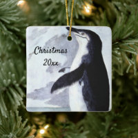 Manchot à jugulaire, Oiseaux d'Antarctique d'autre