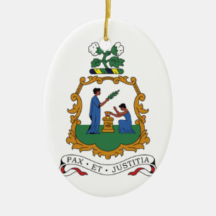 Ornement En Céramique Manteau de Saint-Vincent-et-les-Grenadines des