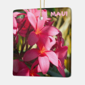 Ornement En Céramique Maui, Fleurs Plumeria en rose et blanc (Gauche)