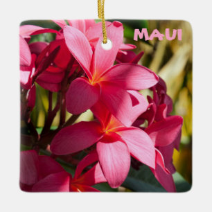 Ornement En Céramique Maui, Fleurs Plumeria en rose et blanc