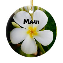Maui spectaculaire