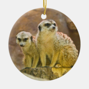 Ornement En Céramique meerkat