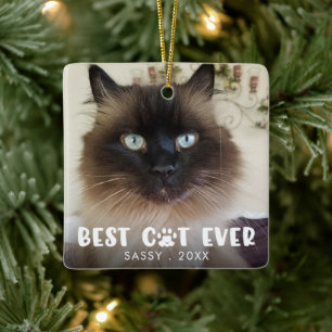 Ornement En Céramique MEILLEUR CHAT JAMAIS Empreinte de Patte Photo Pers