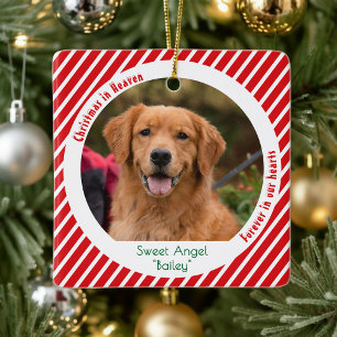 Ornement En Céramique Mémoire de compagnie moderne Photo de chien Noël